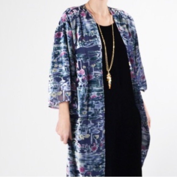 Anthropologie and Aris A Silk Velvet Kimono - - OS - Picture 8 of 15